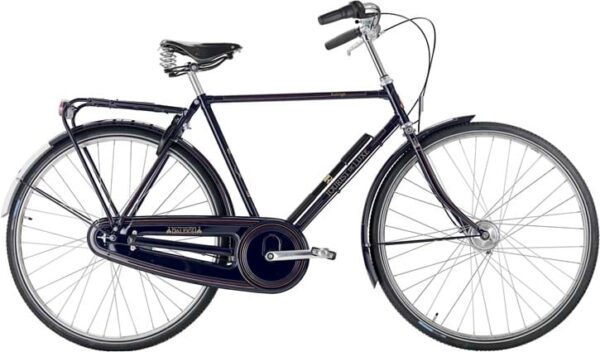 Raleigh Tourist de Luxe Herre 3g Shimano Nexus fodbremse