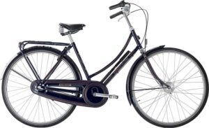 Raleigh Tourist de Luxe Dame 3g Shimano Nexus fodbremse