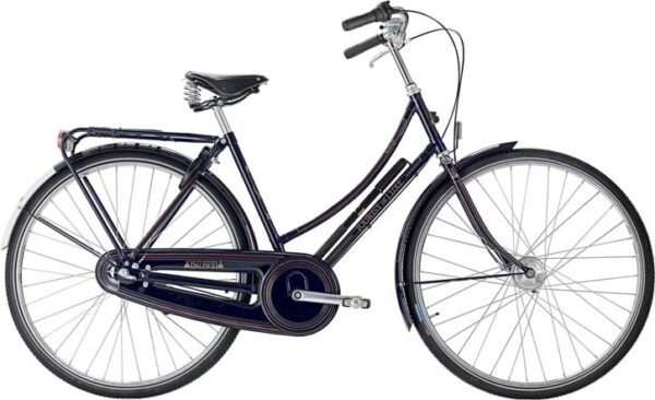 Raleigh Tourist de Luxe Dame 3g Shimano Nexus fodbremse