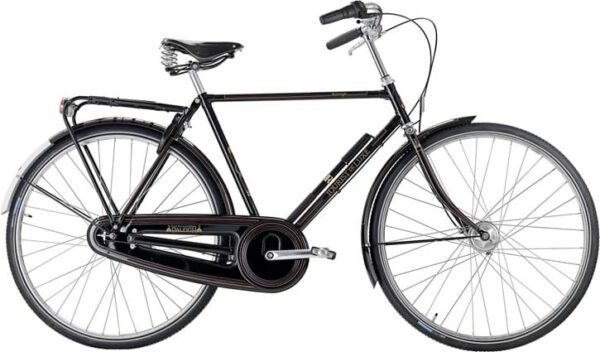 Raleigh Tourist de Luxe Herre 3g Shimano Nexus fodbremse