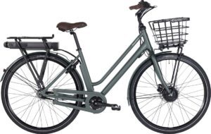 Raleigh Sussex E1 Da 48cm 7g Shimano Nexus fodbremse mat grågrøn