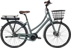 Raleigh Sussex E2 Dame 7g Shimano Nexus fodbremse mat grøn